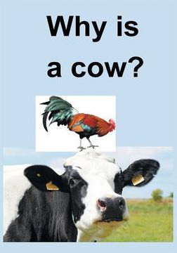 portada Why Is a Cow? (en Inglés)