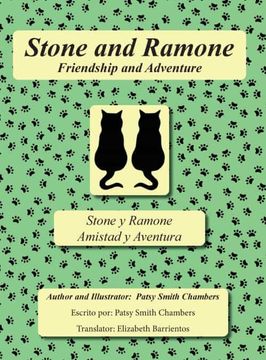portada Stone and Ramone