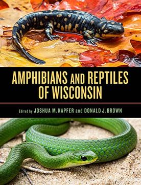 portada Amphibians and Reptiles of Wisconsin (en Inglés)