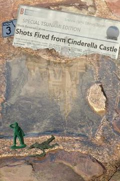 portada 3 Shots Fired from Cinderella Castle (en Inglés)