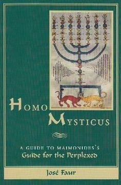 portada homo mysticus: a guide to maimonides's guide for the perplexed (in English)