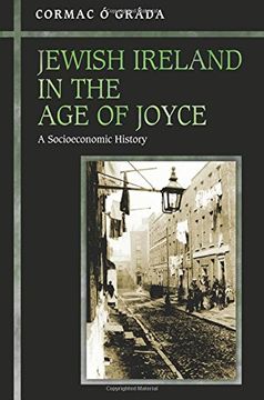 portada Jewish Ireland in the Age of Joyce: A Socioeconomic History