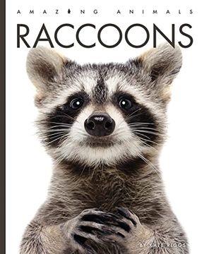portada Raccoons (Amazing Animals) (en Inglés)