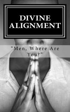 portada Divine Alignment (in English)