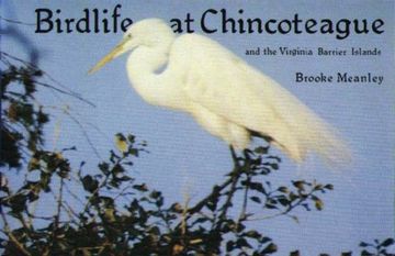 portada Birdlife at Chincoteague and the Virginia Barrier Islands