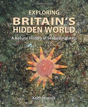 portada Exploring Britain's Hidden World: A Natural History of Seabed Habitats (en Inglés)
