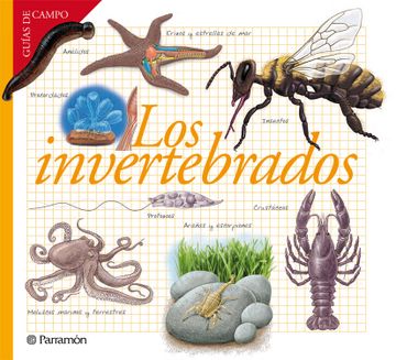 portada Los Invertebrados (in Spanish)