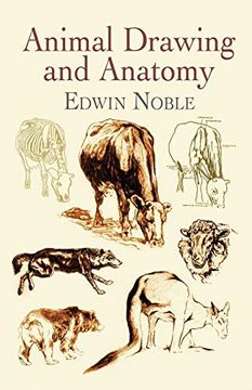 portada Animal Drawing and Anatomy (Dover art Instruction) (en Inglés)