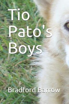 portada Tio Pato's Boys (en Inglés)