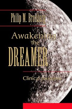 portada awakening the dreamer: clinical journeys (en Inglés)