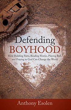 portada Defending Boyhood: How Building Forts, Reading Stories, Playing Ball, and Praying to god can Change the World (in English)