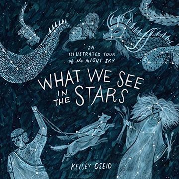 portada What we see in the Stars: An Illustrated Tour of the Night sky 
