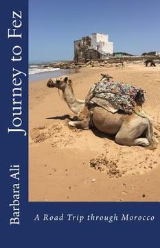 portada Journey to Fez: A Road Trip Through Morocco (en Inglés)