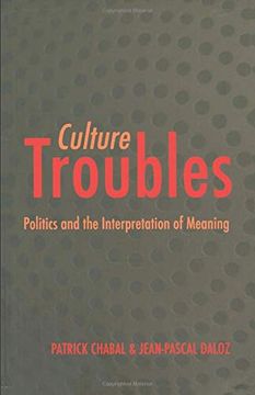 portada Culture Troubles: Politics and the Interpretation of Meaning 