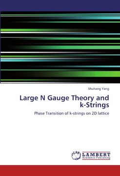 portada Large N Gauge Theory and k-Strings: Phase Transition of k-strings on 2D lattice