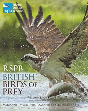 portada Rspb British Birds of Prey (en Inglés)