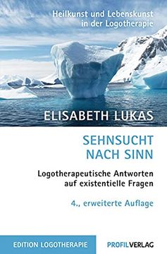 portada Sehnsucht Nach Sinn (en Alemán)