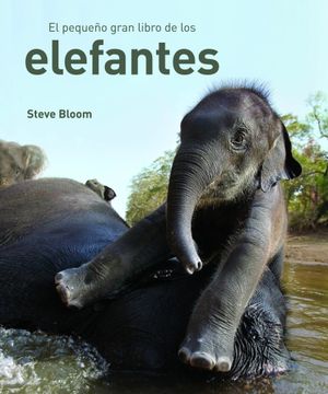 Libro El Pequeño Gran Libro de los Elefantes, Steve Bloom, ISBN  9788497543057. Comprar en Buscalibre