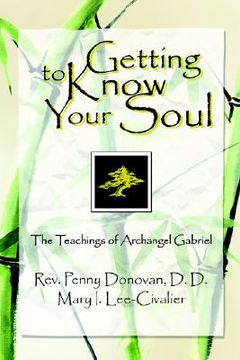 portada getting to know your soul: the teachings of archangel gabriel (in English)