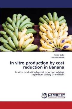 portada In vitro production by cost reduction in Banana