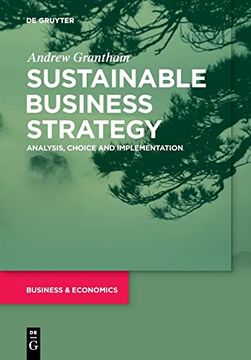 portada Sustainable Business Strategy: Analysis, Choice and Implementation (en Inglés)