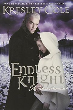 portada endless knight (in English)