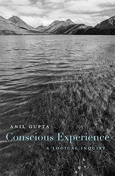 portada Conscious Experience: A Logical Inquiry (en Inglés)