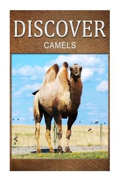 portada Camels - Discover: Early reader's wildlife photography book (en Inglés)