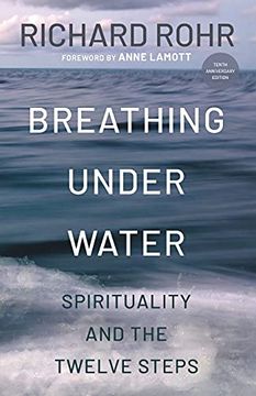 portada Breathing Under Water: Spirituality and the Twelve Steps (en Inglés)