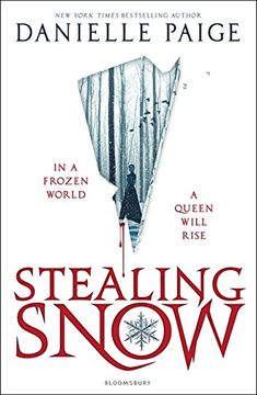portada Stealing Snow