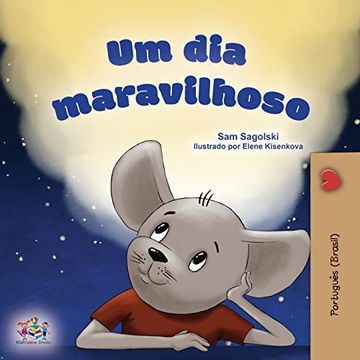 portada A Wonderful day (in Portuguese)