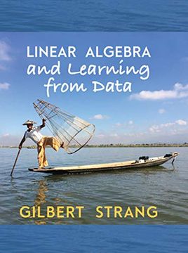 portada Linear Algebra and Learning From Data (en Inglés)