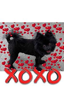 portada Valentine's all Love Xoxo Pomeranian Creative Blank Journal (in English)