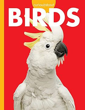 portada Curious About Birds (Curious About Pets) (en Inglés)