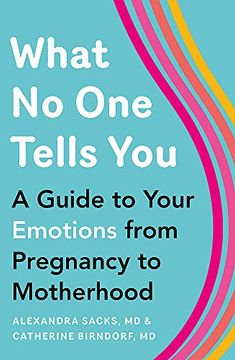 portada What no one Tells You: A Guide to Your Emotions From Pregnancy to Motherhood (en Inglés)