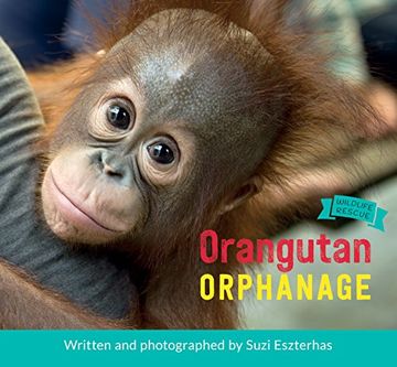portada Orangutan Orphanage (Wildlife Rescue)
