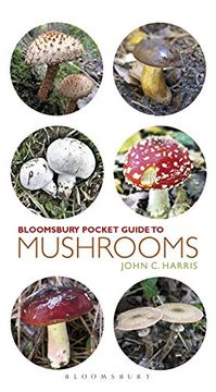 portada Pocket Guide to Mushrooms (in English)
