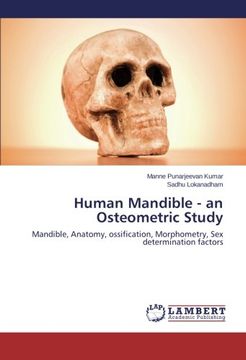 portada Human Mandible - an Osteometric Study