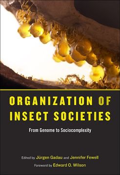 portada Organization of Insect Societies: From Genome to Sociocomplexity: 0 