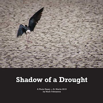 portada Shadow of a Drought (in English)