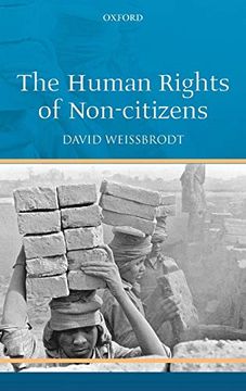 portada The Human Rights of Non-Citizens (en Inglés)