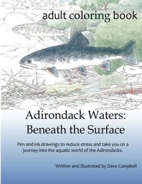 portada Adirondack Waters: Beneath the Surface