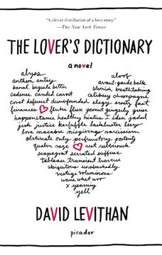 portada The Lover's Dictionary: A Novel 
