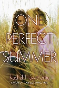 portada One Perfect Summer: Labor of Love and Thrill Ride (en Inglés)
