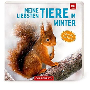 portada Meine Liebsten Tiere im Winter (en Alemán)