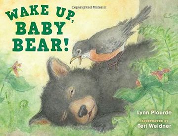 portada Wake Up, Baby Bear!