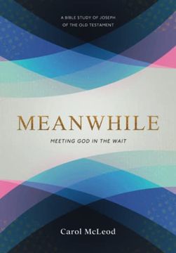 portada Meanwhile: Meeting god in the Wait (en Inglés)