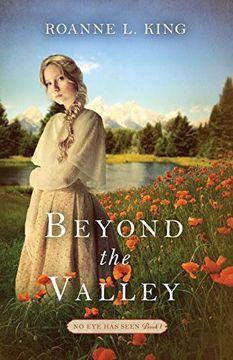 portada Beyond the Valley (en Inglés)