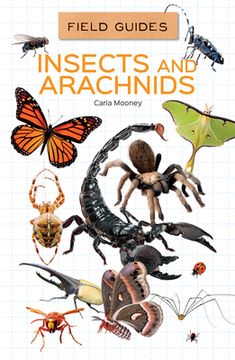 portada Insects and Arachnids (en Inglés)