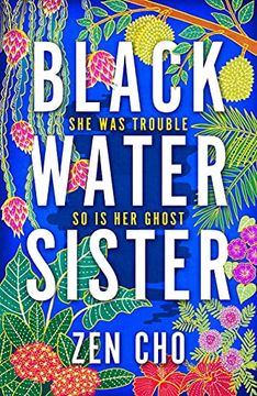 portada Black Water Sister: Zen cho 
